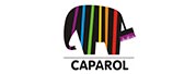 Студия цвета и колеровки Caparol